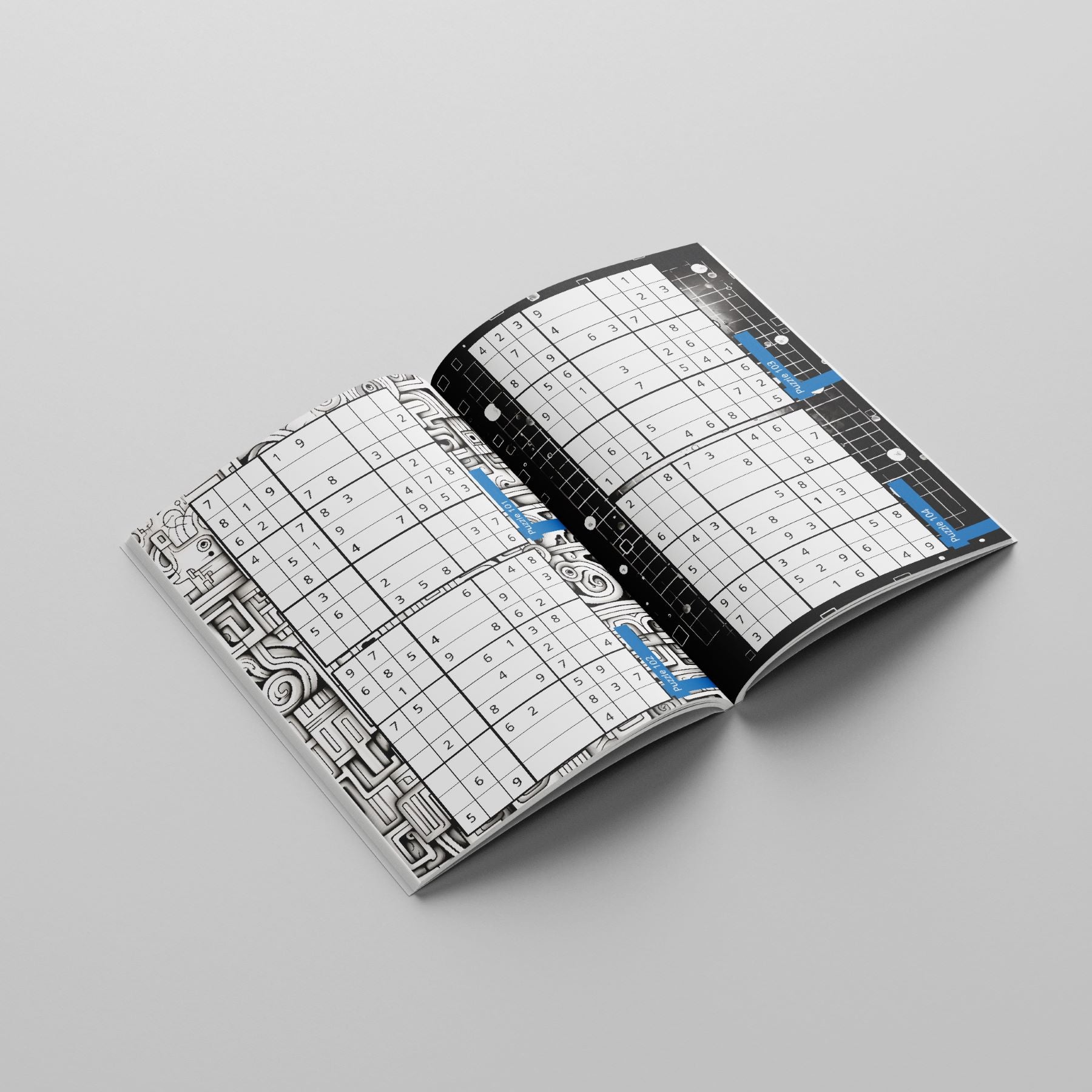 Puzzle Book: 200 Sudoku 9x9 Puzzle Grids, Level 2 - Easy