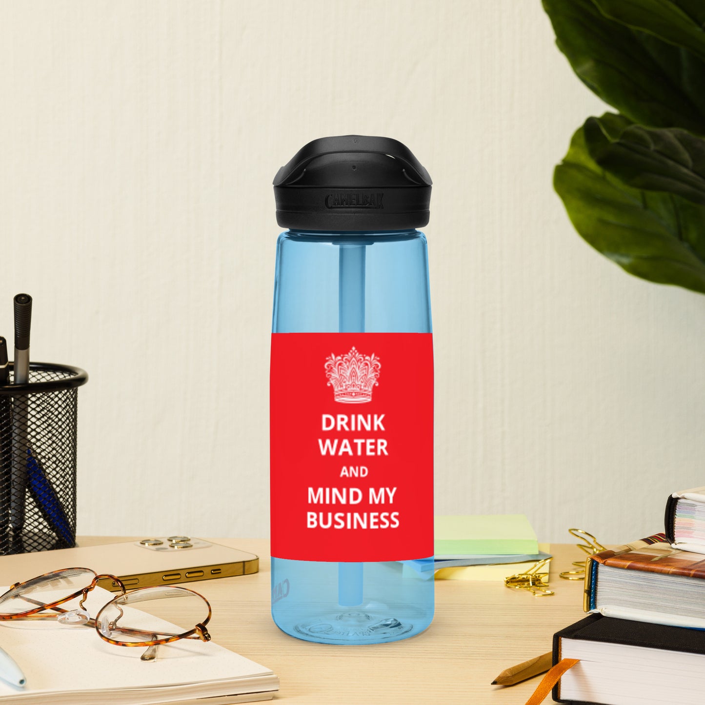 25oz Sports Water Bottle: Caribbean - "Drink Water and Mind My Business" (4 bottle colours)