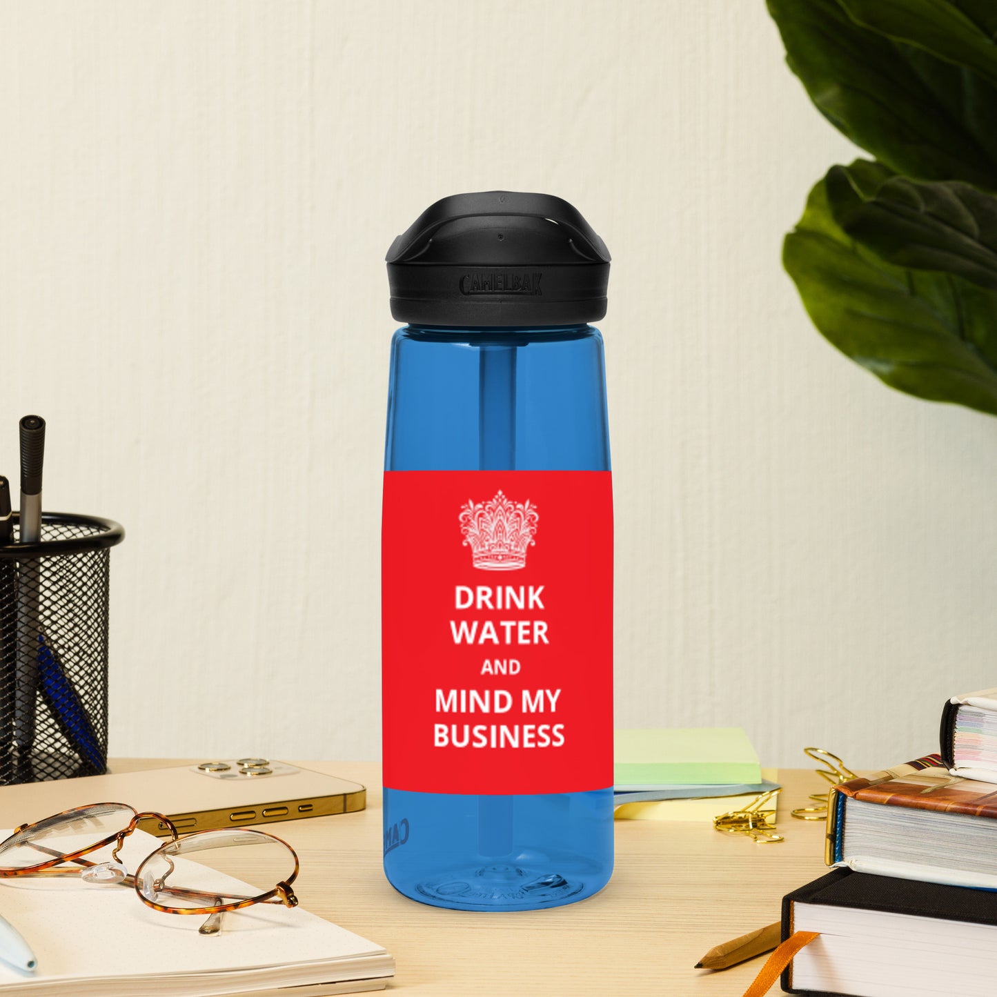 25oz Sports Water Bottle: Caribbean - "Drink Water and Mind My Business" (4 bottle colours)